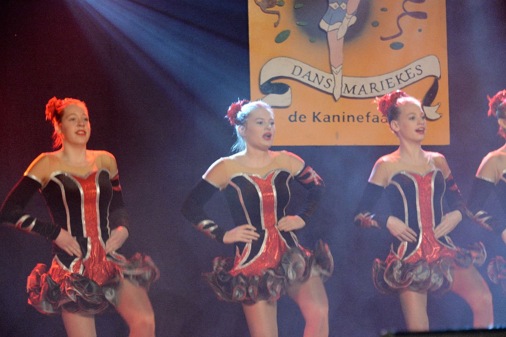 ../Images/Dansmarieke Festival 2016 175.jpg